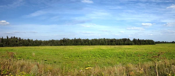 Gyönyörű Vidék Panoráma Táj Zöld Mező Vegyes Erdő Messze Fehér — Stock Fotó