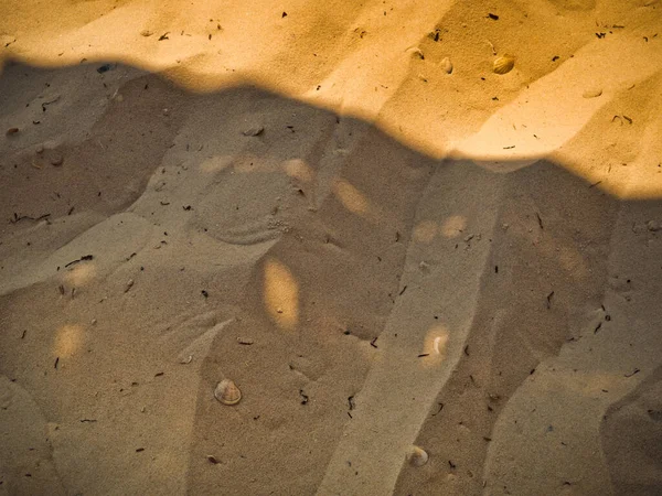 Texture of sand dunes on a sandy beach with a shadow from a beach umbrella as abstract nature pattern in summer seacoast.