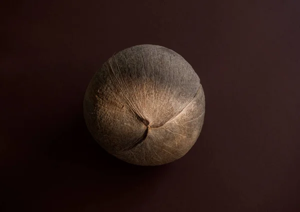 stock image One whole cocos on a chocolate background, closeup. Hard nut on a dark  colors as metaphor.