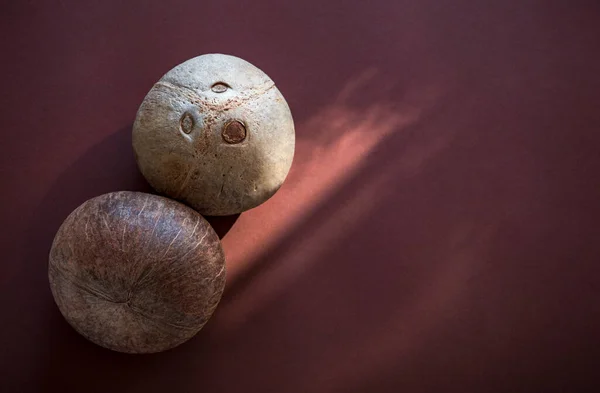 Zwei Kokosnüsse Schließen Sich Den Sonnenstrahlen Vor Braunem Hintergrund Mit — Stockfoto