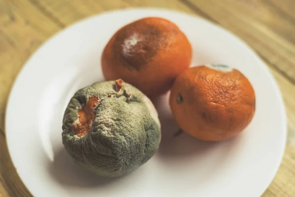 흰색 접시에 썩은 오렌지. — 스톡 사진