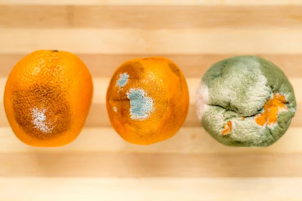 Naranjas podridas sobre fondo de madera . —  Fotos de Stock