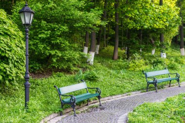 Yeşil parkta yol boyunca banklar. Dinlenme kavramı, doğada rahatlama.