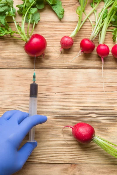 GMO concept in vegetables. The hand makes a shot with a syringe in a radish to increase the volume.