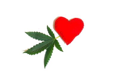 Marihuana yaprağı, beyaz arka plan üzerinde izole kırmızı kalp ile kenevir.