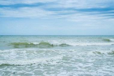 Sahilde deniz sörfü. Kıyıya gelen dalgalar.