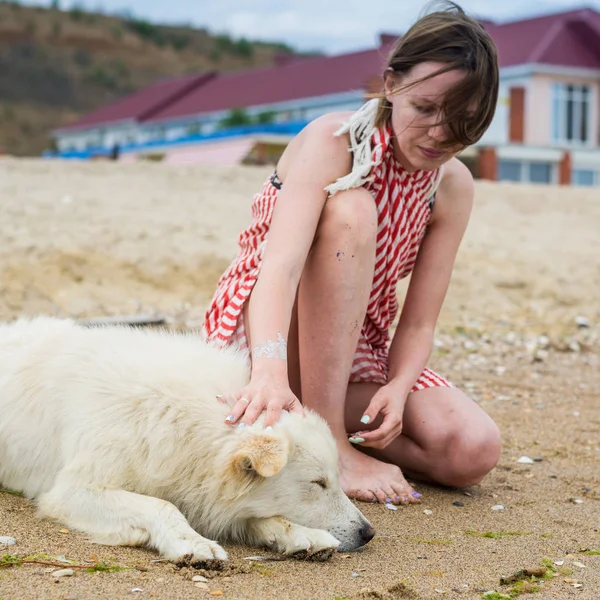 Žena odpočívá s velkým psem u moře, v oceánu. Interakce člověka a psa. — Stock fotografie