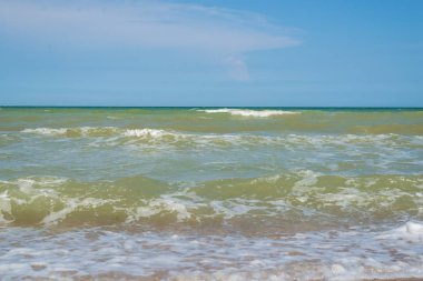 Denizde dalgalar. Kıyıdan görünüm.