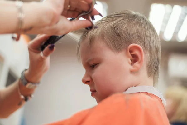 A little boy's haircut in a hairdresser's. — Stock Photo, Image