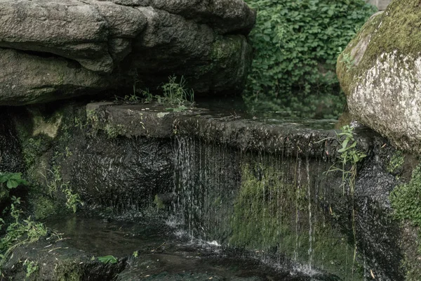 Water flows over dark stones in the forest.