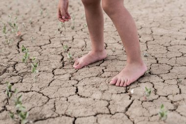 Kurumuş çatlak toprakta bir çocuğun çıplak ayakları. Su eksikliği kavramı, susuzluk.