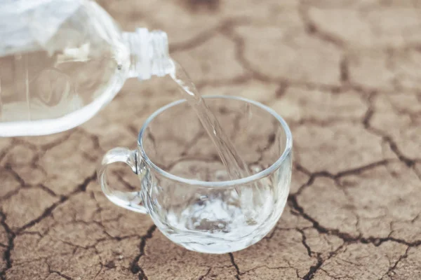 Pour water into a cup on dry ground. The concept of thirst, dehydration, lack of water.
