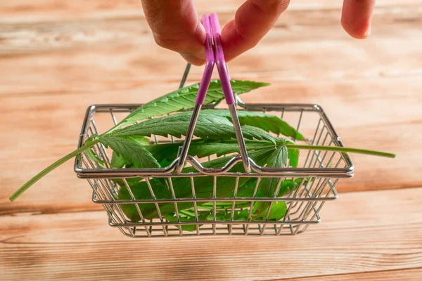 Ahşap bir arka plan üzerinde bir bakkal sepeti marihuana taze yaprakları. Esrar ticareti, esrar üretim konsepti.