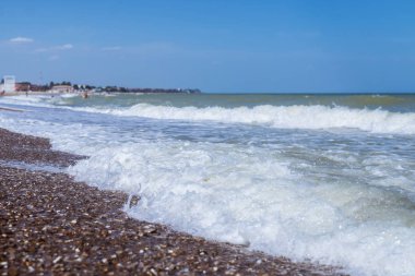 Dalga, kabuk kayasından denize doğru kıyıya geliyor..