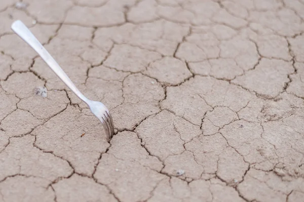 Fork stuck in the dry cracked ground. The concept of drought, famine. — Stock Photo, Image