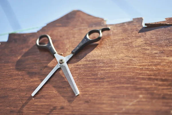 Alte Friseurscheren. Haarpflege, Friseurkonzept. — Stockfoto