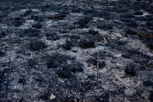 Κάηκε η γη από τη φωτιά. Πυρκαγιά, φυσική καταστροφή, καταστροφή, έννοια περιβαλλοντικής βλάβης. Καμένο γρασίδι και βλάστηση στο χωράφι. — Φωτογραφία Αρχείου