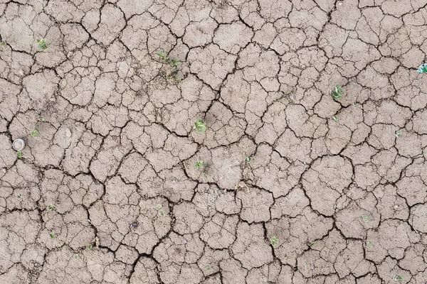 A textura da terra rachada seca . Fotos De Bancos De Imagens Sem Royalties