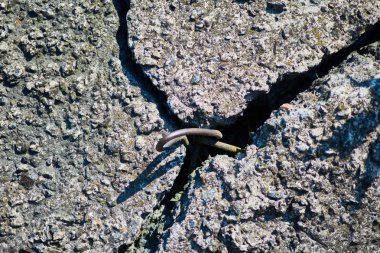 Bir çatlak ile eski beton levha yapısı.