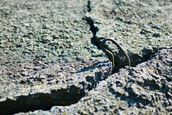 A estrutura da antiga laje de concreto com uma fenda . — Fotografia de Stock