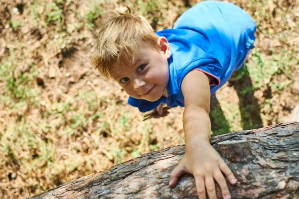 A little boy climbs a tree. Active recreation of the child in nature.
