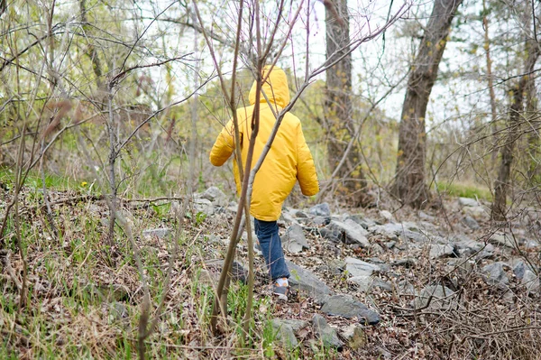 Niño Pequeño Camina Sobre Las Piedras Bosque —  Fotos de Stock