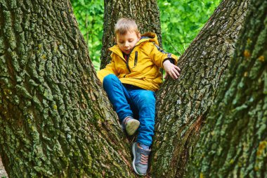 Küçük bir çocuk ağaçta oturuyor. Aktivite, açık hava eğlencesi.
