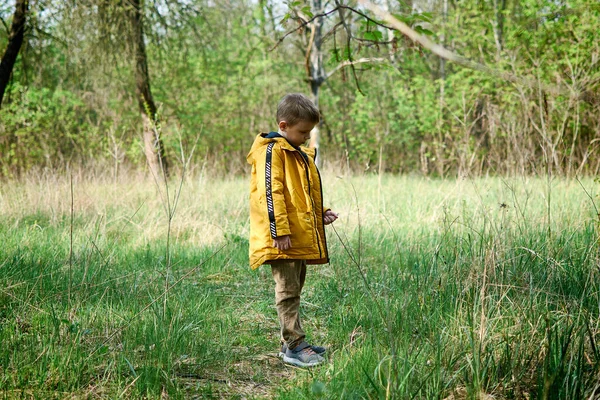 Мальчик Куртке Зеленом Лесу — стоковое фото
