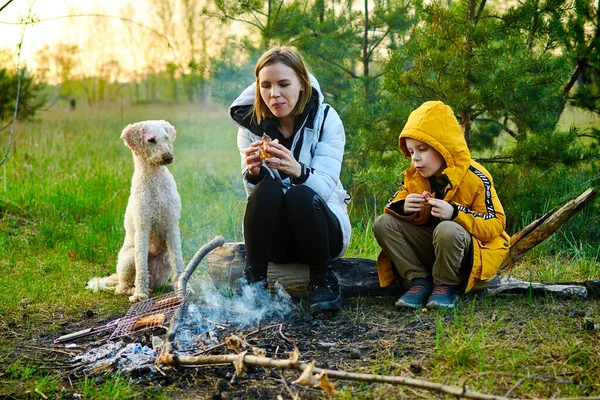 A woman with a little son and a dog eat near a bonfire on a picnic.