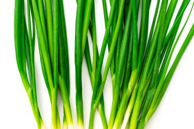 Beyaz arka planda yeşil soğan kökleri. İzole edilmiş.