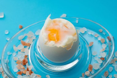 Mavi arka plandaki bir stantta rafadan tavuk yumurtası..