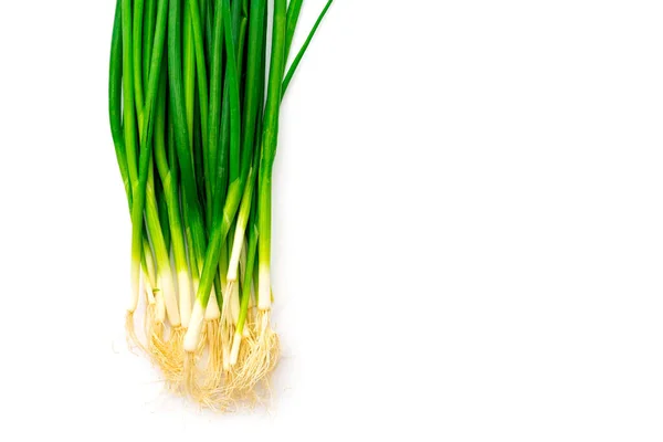 Tallos Cebolla Verde Sobre Fondo Blanco Aislado — Foto de Stock