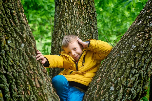 Niño Está Sentado Árbol Actividad Recreación Aire Libre — Foto de Stock