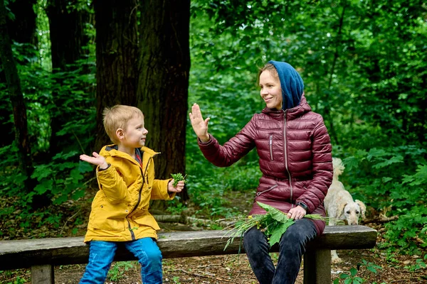 Mãe Filho Estão Sentados Num Banco Interação Entre Mãe Filho — Fotografia de Stock