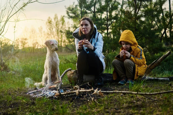 Жінка Маленьким Сином Собакою Їсть Біля Багаття Пікнік — стокове фото