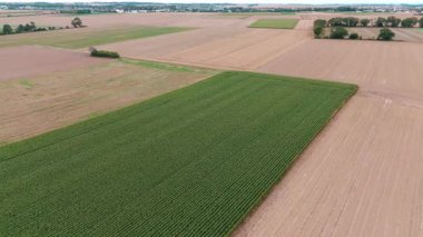 Geniş tarlaları ve tarım gelişimi için mahsulleri olan yemyeşil tarım arazilerinin havadan görünüşü.