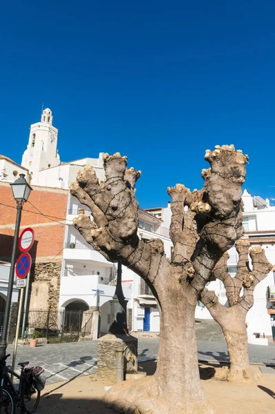 Spain Mediterranean Village Cadaques Whitewashed Houses Church Santa Maria Costa — Stock Photo, Image