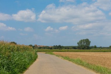 İkincil yolun ortasında Katalan kırsal. Akdeniz peyzaj Baix Emporda il.