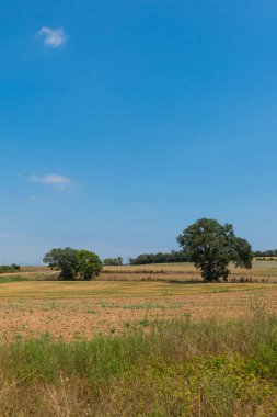 Katalonya Emporda tipik peyzaj:. Lehçe kırsal, hasat alanları, haystacks. Costa Brava, İspanya.