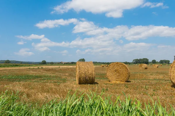 Typická Krajina Emporda Katalánsku Kulatých Balíků Slámy Poli Strniště Provincii — Stock fotografie