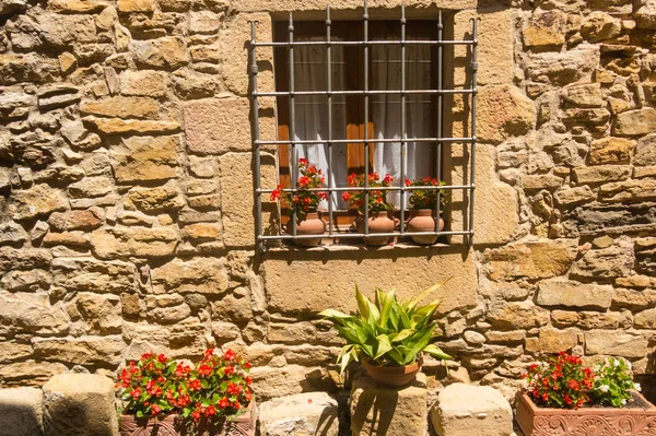 Flowers Pot Iron Window Medieval Village Peratallada Located Middle Emporda — Stock Photo, Image