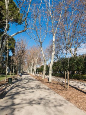 Madrid, İspanya - 27 Ocak 2018: Yol Madrid Retiro Park içinde. Buen Retiro Park bir tarihi Bahçe ve kamu parkı, kentin ana turistik merkezlere biri olarak kabul olduğunu. İspanya.