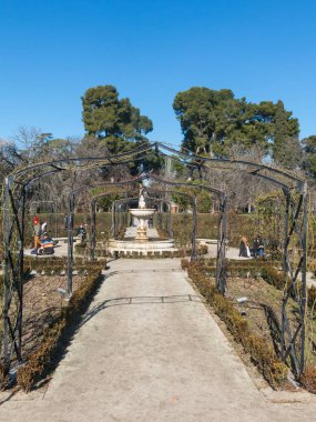 Madrid, İspanya - 27 Ocak 2018: Bahçe gül Buen Retiro Park yolundaki. Parque De Las Rosas İspanyolca) Retiro Park botanik bahçe. Madrid, İspanya.