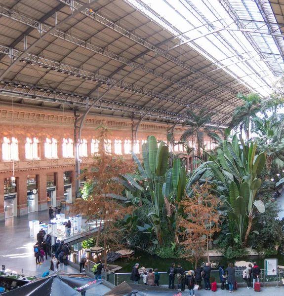 Madrid Spanien Januari 2018 Tropiska Växthuset Läge 1800 Talets Atocha — Stockfoto