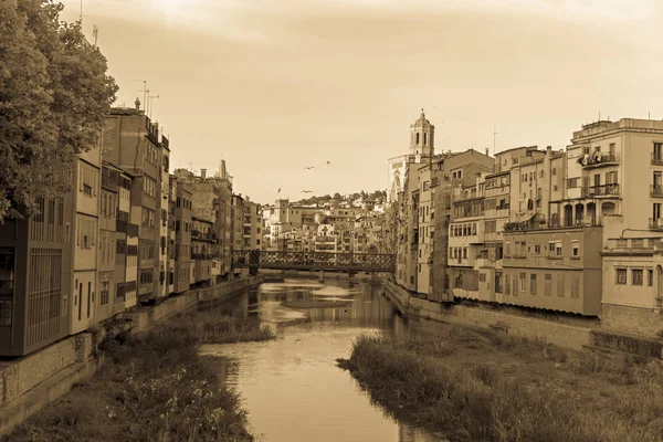 Onyar Nehri Girona Şehir Çan Kulesi Bazilika Sant Feliu Arka — Stok fotoğraf