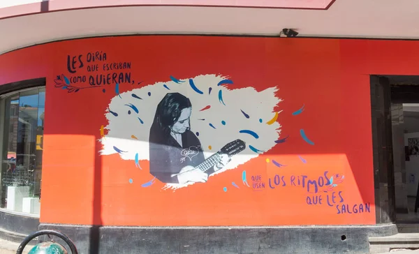 Valparaiso Chile Stycznia 2018 Malowane Hołdzie Kompozytor Piosenkarz Violeta Parra — Zdjęcie stockowe