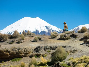 Bir and kadın arka planda Parinacota yanardağ ile kırsal size yürür. Doğal Park Sajama, Bolivya, Güney Amerika'nın Altiplano