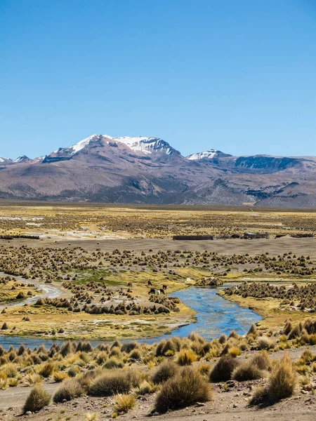 Paisagem Alta Tundra Andina Nas Montanhas Dos Andes Tempo Andino — Fotografia de Stock