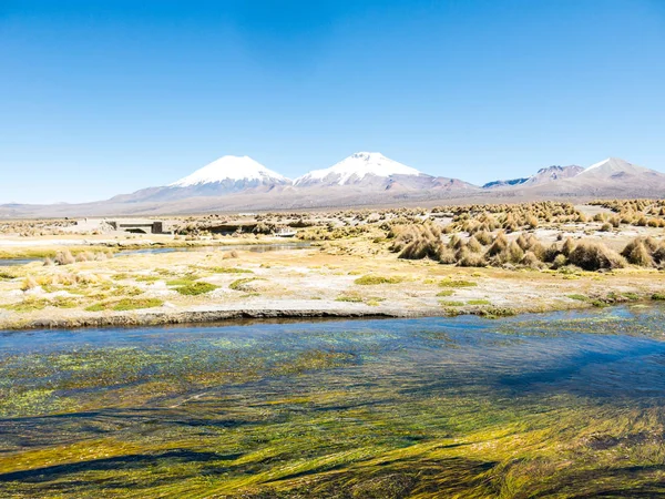 Paisagem Alta Tundra Andina Nas Montanhas Dos Andes Tempo Andino — Fotografia de Stock