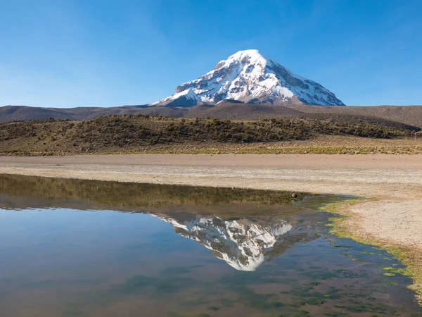 Der Vulkan Sajama Und Sein Spiegelbild Wasser Des Huanacota Sees — Stockfoto